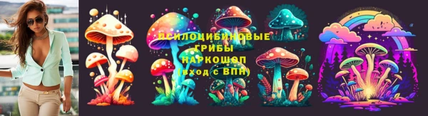 ГАЛЛЮЦИНОГЕННЫЕ ГРИБЫ Белоозёрский