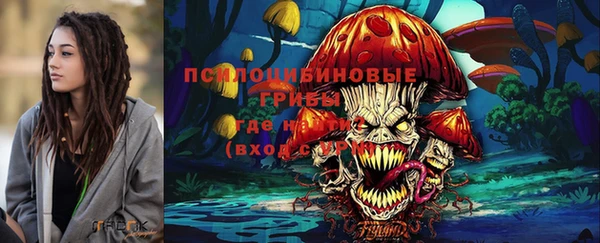 первитин Нея