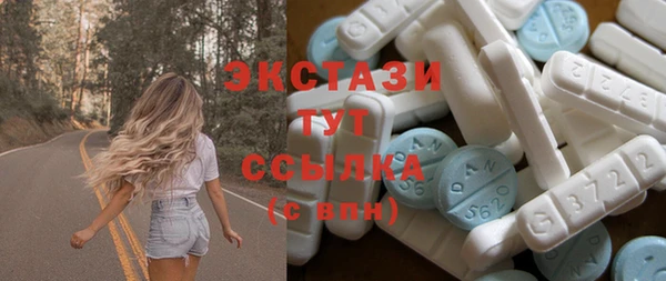 сатива Новодвинск